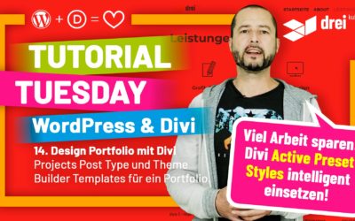 WordPress & Divi Tutorial 2022 Deutsch, 14: Design Portfolio mit Divi Custom Post Type „Projects“ einrichten